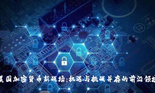 美国加密货币新战场：机遇与挑战并存的前沿领域