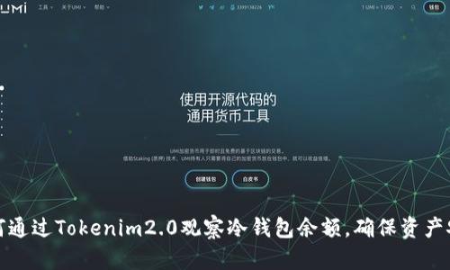 如何通过Tokenim2.0观察冷钱包余额，确保资产安全