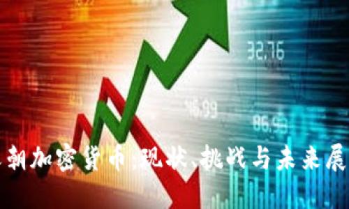 天朝加密货币：现状、挑战与未来展望
