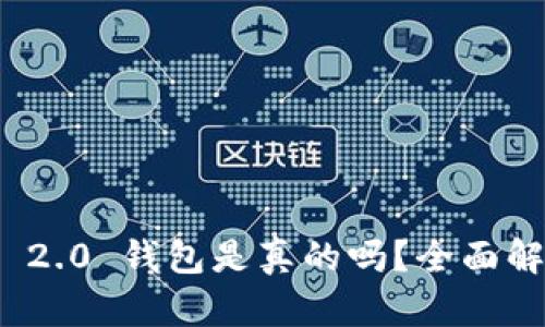 国内Tokenim 2.0 钱包是真的吗？全面解析与使用指南