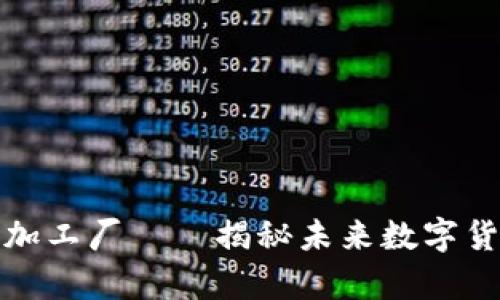 加密货币胶囊加工厂——揭秘未来数字货币的生产流程