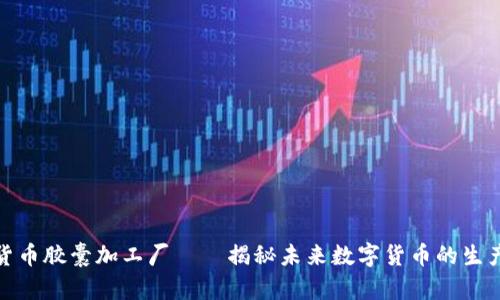 加密货币胶囊加工厂——揭秘未来数字货币的生产流程