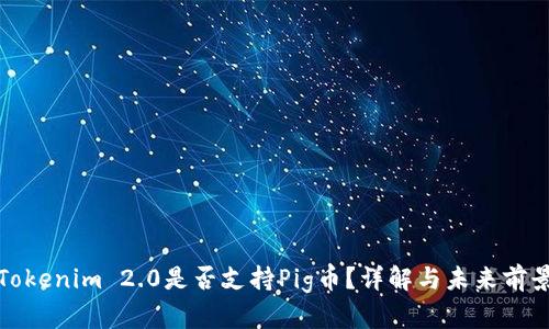 Tokenim 2.0是否支持Pig币？详解与未来前景
