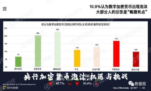 央行加密货币泡沫：机遇与挑战