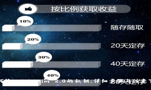 如何输入Tokenim 2.0的私钥：详细步骤与注意事项