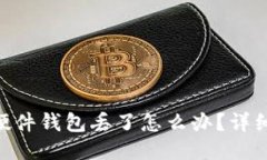 Tokenim硬件钱包丢了怎么办？详细应对指南