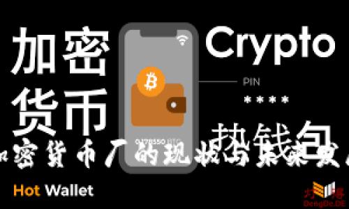 中国加密货币厂的现状与未来发展趋势