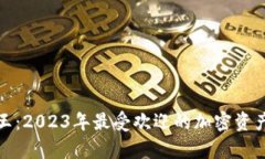 加密货币人气王：2023年最受欢迎的加密资产及其
