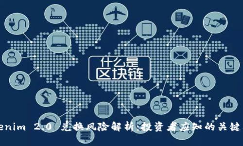 Tokenim 2.0 兑换风险解析：投资者应知的关键要点