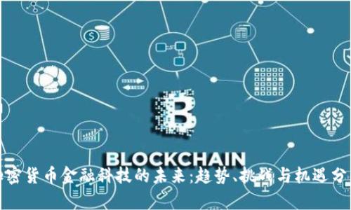 加密货币金融科技的未来：趋势、挑战与机遇分析