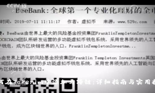 如何在Tokenim中添加马蹄链：详细指南与实用技巧