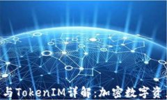 小蚁neo钱包与TokenIM详解：加密数字资产管理的未