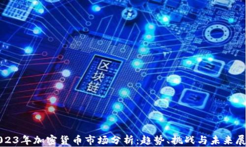 
2023年加密货币市场分析：趋势、挑战与未来展望