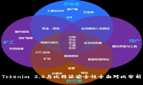 Tokenim 2.0与比特派安全性全面对比分析