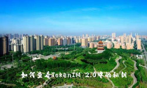 如何查看TokenIM 2.0中的私钥