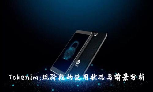 Tokenim:现阶段的使用状况与前景分析