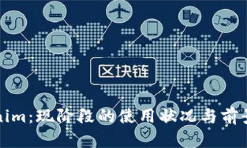 Tokenim:现阶段的使用状况与前景分析