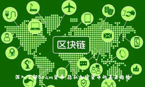 深入了解Beam货币：隐私加密货币的未来趋势