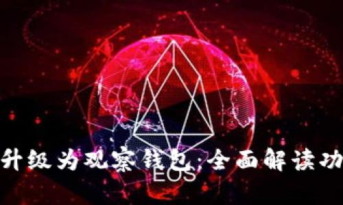 Tokenim升级为观察钱包:全面解读功能与应用