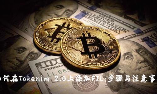 如何在Tokenim 2.0上添加FIL:步骤与注意事项