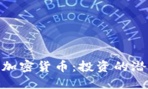 探寻偏门加密货币：投资的潜力与风险