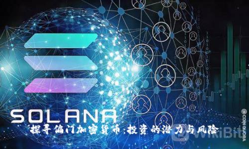 探寻偏门加密货币：投资的潜力与风险