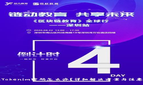忘记Tokenim密码怎么办?详细解决方案与注意事项
