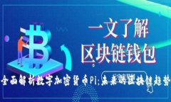 全面解析数字加密货币Pi：未来的区块链趋势