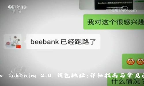 如何导入 Tokenim 2.0 钱包地址:详细指南与常见问题解答