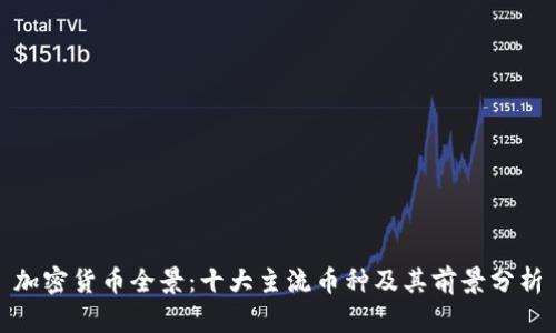 加密货币全景：十大主流币种及其前景分析