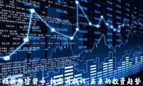 
模因加密货币：机会与挑战，未来的投资趋势