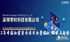 2023年中国加密货币项目全景揭秘：现状与趋势分