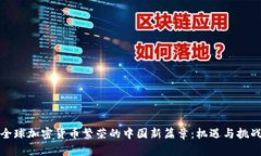 全球加密货币繁荣的中国新篇章：机遇与挑战