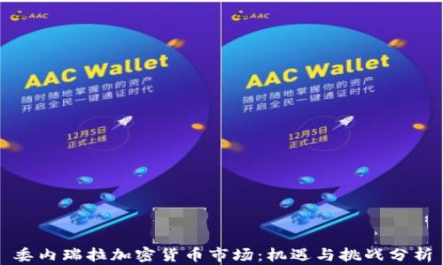 
委内瑞拉加密货币市场：机遇与挑战分析