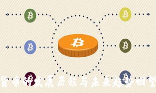   
加密货币的发展历程与未来趋势回望视频