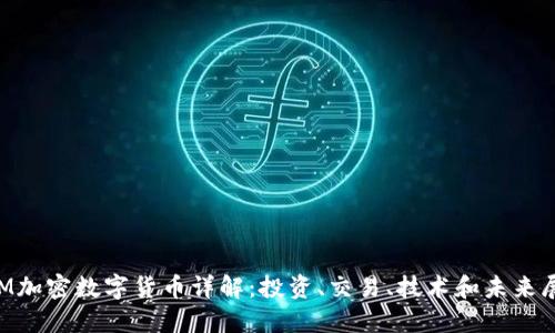 CTM加密数字货币详解:投资、交易、技术和未来展望