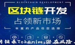 深入剖析传销币Tokenim：潜在风险与投资策略