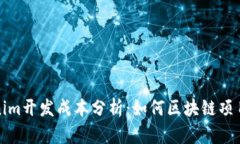 Tokenim开发成本分析：如何区块链项目预算