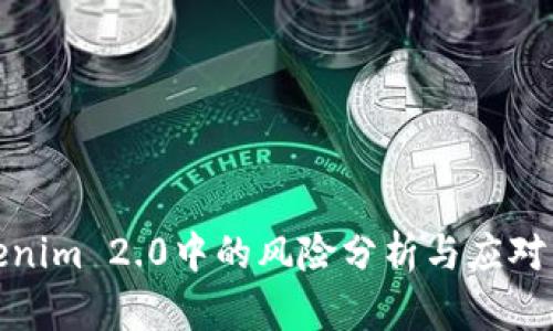 Tokenim 2.0中的风险分析与应对策略