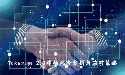 Tokenim 2.0中的风险分析与应对策略