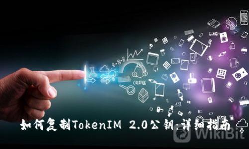 如何复制TokenIM 2.0公钥：详细指南