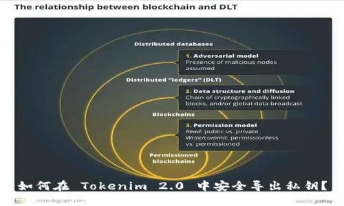 如何在 Tokenim 2.0 中安全导出私钥？