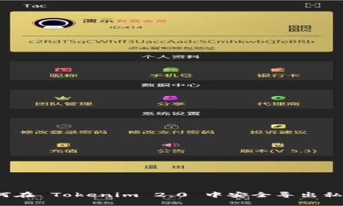如何在 Tokenim 2.0 中安全导出私钥？
