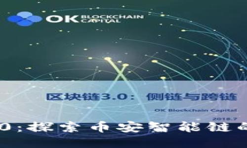 Tokenim 2.0：探索币安智能链的潜力与应用