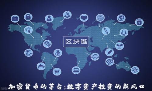 
加密货币的茅台：数字资产投资的新风口