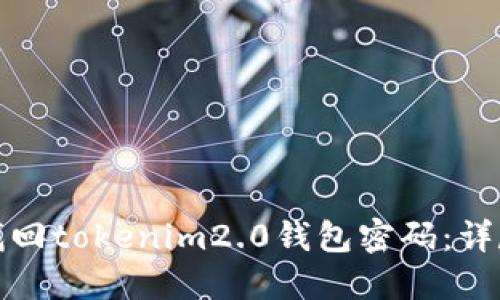 如何找回tokenim2.0钱包密码：详尽攻略