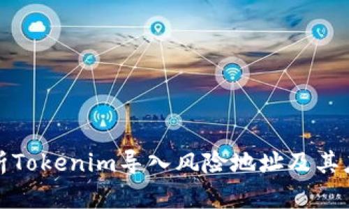 深度解析Tokenim导入风险地址及其应对策略
