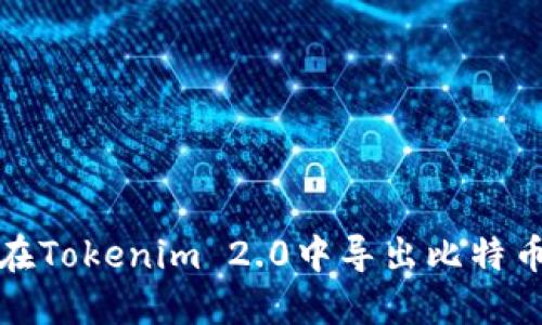 如何在Tokenim 2.0中导出比特币私钥
