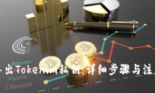 如何导出Tokenim私钥：详细步骤与注意事项
