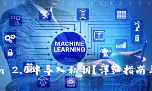 如何在Tokenim 2.0中导入私钥？详细指南与常见问题解答